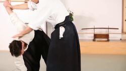 How to Do Kaiten Nage in Aikido Instructional Video