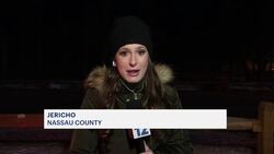 Nassau police: LIE closed for 6 hours Sunday following FedEx truck crash in Jericho Instructional Video