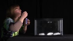Bubbles on Dry Ice - Little Shop of Physics Instructional Video
