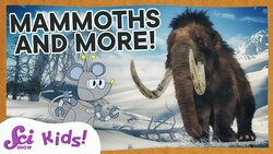 Woolly Mammoths, Mastodons, and Amazing Teeth! | SciShow Kids Instructional Video