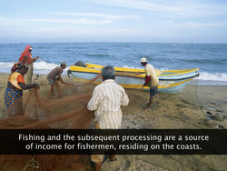 Fisheries Instructional Video