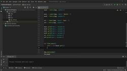 Python In Practice - 15 Projects to Master Python - Age Calculator (Total Days and Seconds Lived) Instructional Video