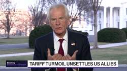 White House's Peter Navarro on Mexico, Canada Tariffs News Clip