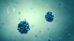 I WONDER - How Do Cell Communicate? Instructional Video