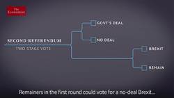 Brexit: what would a second referendum look like? Instructional Video