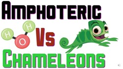 What are amphoteric molecules? Instructional Video