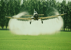 Los elementos: el fósforo Instructional Video