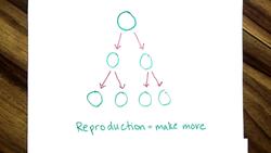 Why Do Cells Divide Instructional Video