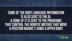 Nadine The Robot Is Amazing And Creepy Instructional Video