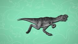 I WONDER - How Did Oviraptors Look After Their Eggs? Instructional Video