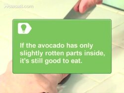 How to Tell If an Avocado is Rotten Instructional Video