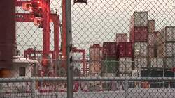 GVs of Hong Kong port as Trump boosts tariffs Instructional Video