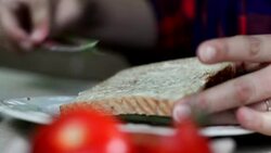 Woman preparing fresh sandwich. Stock Footage