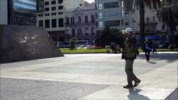 CLEAN: Montevideo is hiring sparrowhawks News Clip