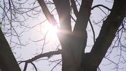 Doctors warn of possible health effects from Daylight Saving Time Instructional Video