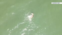 Drones to patrol state park beaches for sharks and swimmer safety July 4 weekend News Clip