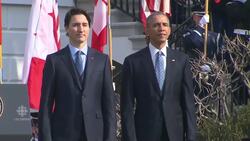 Highlights from Justin Trudeau's welcome to the White House News Clip