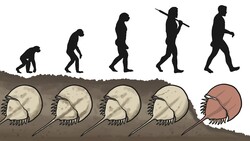 The Species That Broke Evolution? Instructional Video