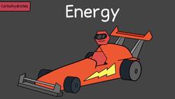 Biomolecules (Updated 2023) Instructional Video