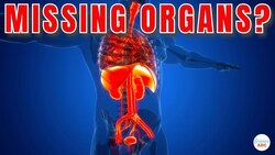 What Happens to the Empty Space After Organ Transplant? Instructional Video