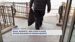 Flooded garbage room causes unbearable odor, roaches and mice for NYCHA residents News Clip