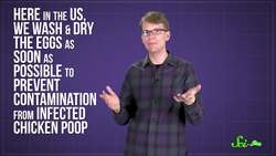 Should You Store Eggs in the Fridge? Instructional Video