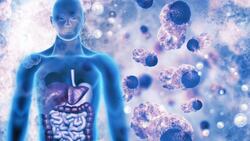 The Impact of Microplastics on Human Health: Uncovering the Risks and Unknowns Instructional Video