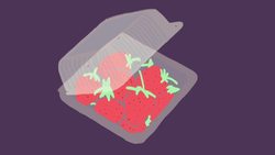 UN Global Goal 12: Responsible Consumption (Ages 5 - 11) Instructional Video