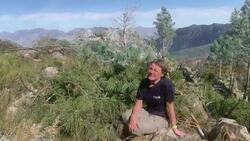 South Africa cuts down pine trees in desperate bid to save water News Clip