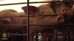 Calls for sustainable farming in the face of climate change News Clip