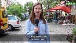 Irregular Verbs: Mögen Instructional Video