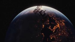 How Do Carrier Pigeons Know Where to Go? Instructional Video