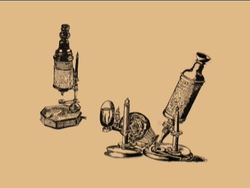 The Microscope: Summing Up Instructional Video