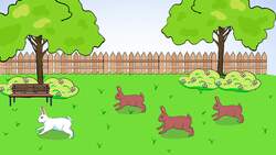 Introduction to Addition Instructional Video