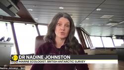 A23A Iceberg's trillion-tonne journey: From Antarctica to South Georgia News Clip