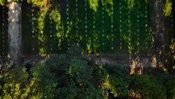 Old Cemetery in a park (aerial) Stock Footage