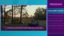 “Bones and All” Premiere Shuts Down for Timothée Chalamet News Clip