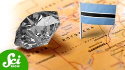 Why Did Botswana Win the Diamond Lottery So Hard? Instructional Video