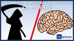 Como esta barrera te PROTEGE de la MUERTE - hematoencefálica Instructional Video