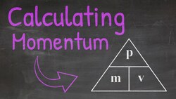 How to Calculate Momentum - Newton's 3rd Law of Motion - p=mv Instructional Video