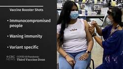 Science uncertain about best approach to COVID-19 booster shots News Clip