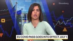 Delta Variant Puts EU Summer at Risk News Clip