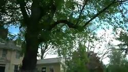 Yellow Colonial style house Stock Footage