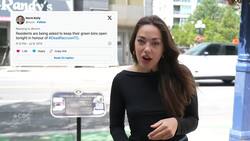 Famous dead Toronto raccoon honoured with permanent memorial News Clip