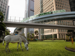 Creativity and Curiosity: Decorating the Holiday Tree with Friends Instructional Video