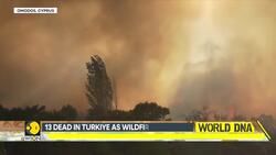 Turkiye Wildfires Reach Key Northwest City As Hundreds Flee News Clip