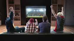 Group of fans are watching a soccer moment on the TV and celebrating a goal Stock Footage