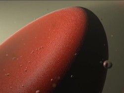 Respiration Review Instructional Video