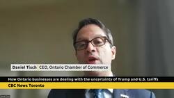 How are Ontario businesses managing the uncertainty of Trump? News Clip