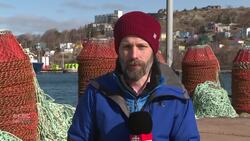 ‘Let’s keep the pressure on’: Crab harvesters relieved but wary after latest Trump tariff plan News Clip